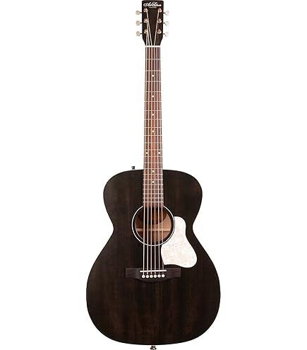●Art & Lutherie アコースティックギター ブラウン　ケース付き Amazon | Art&Lutherie アート&ルシアー アコースティックギター